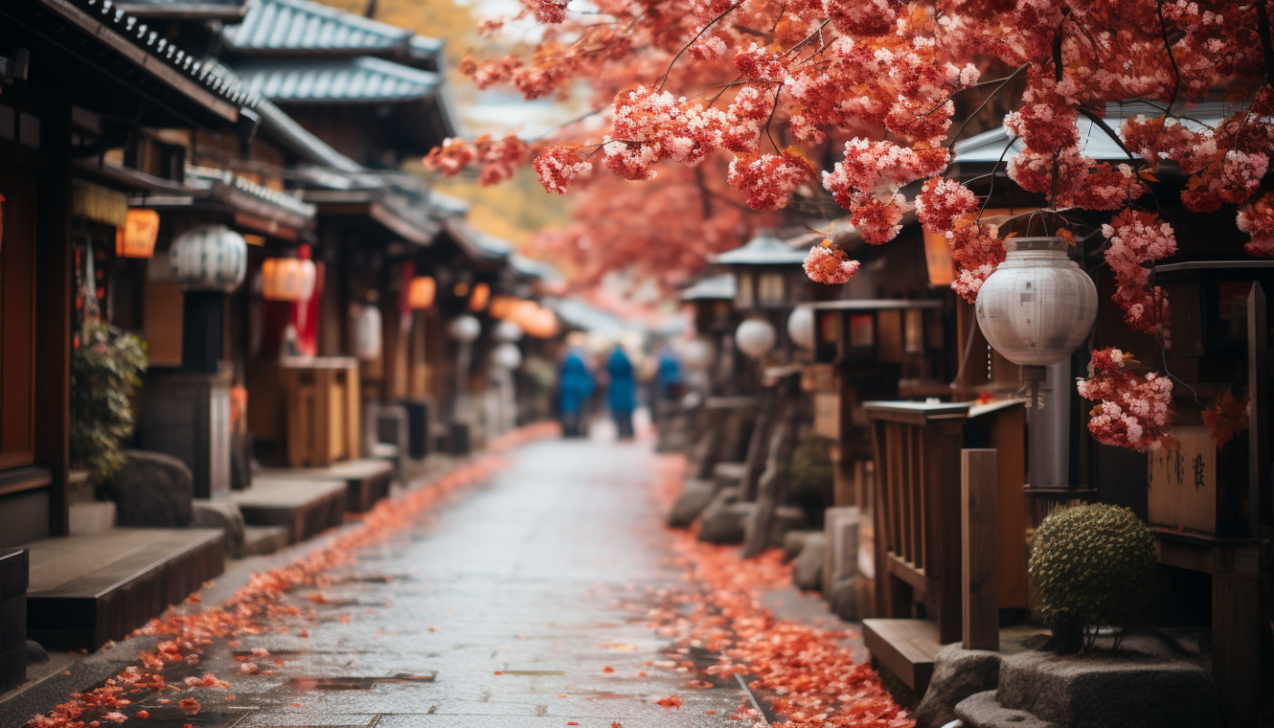 Ce qu’il faut savoir  avant de visiter voyage le Japon